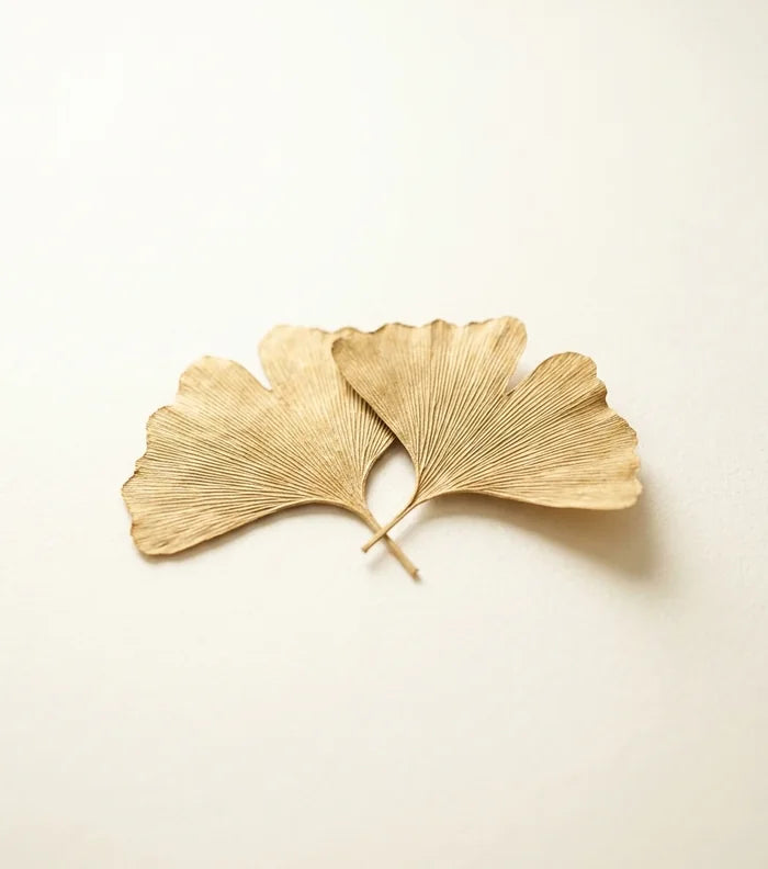 ginkgo biloba